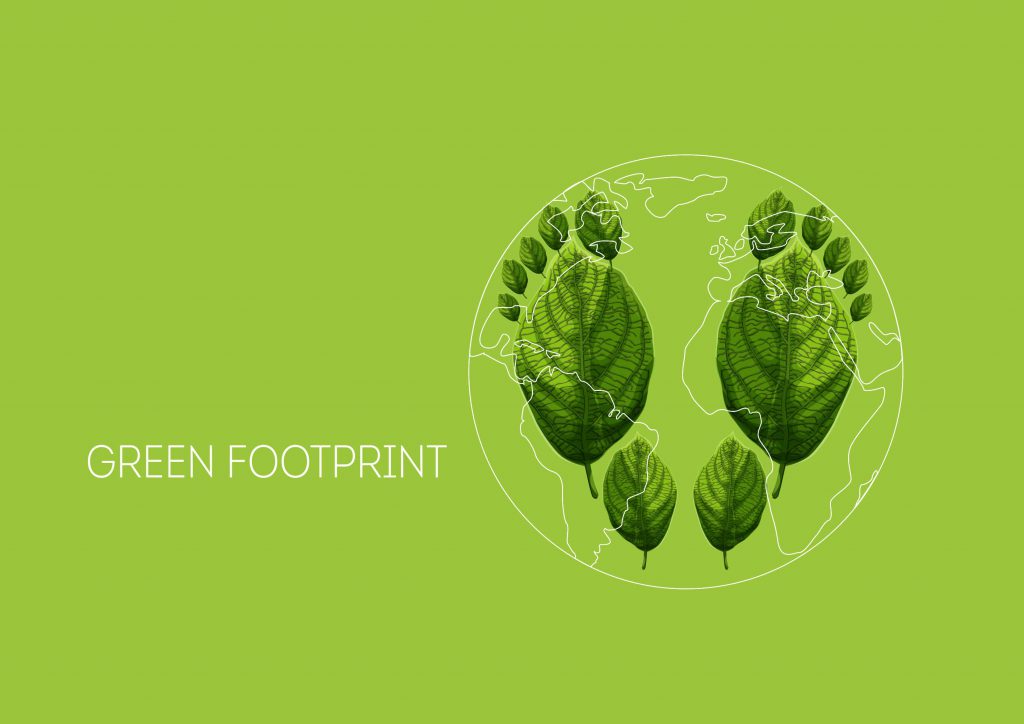 ecological footprint hero image