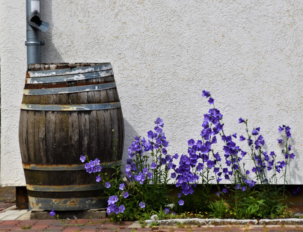 rain barrel