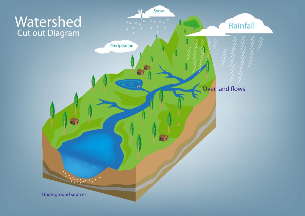 hydrologic cycle